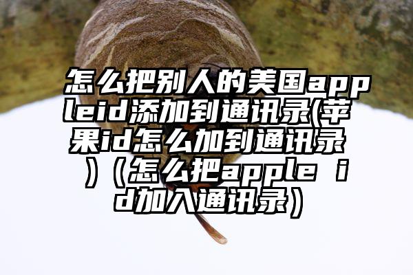 怎么把别人的美国appleid添加到通讯录(苹果id怎么加到通讯录 )（怎么把apple id加入通讯录）
