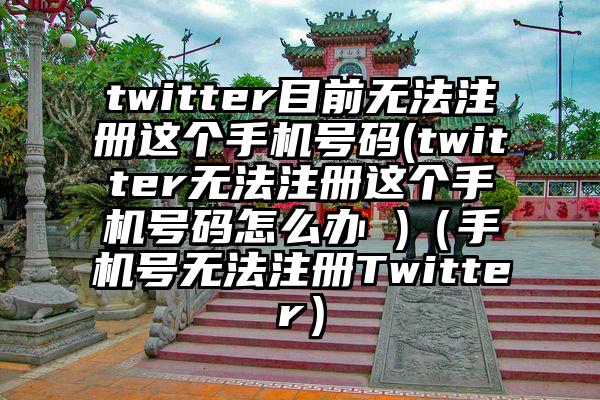 twitter目前无法注册这个手机号码(twitter无法注册这个手机号码怎么办 )（手机号无法注册Twitter）