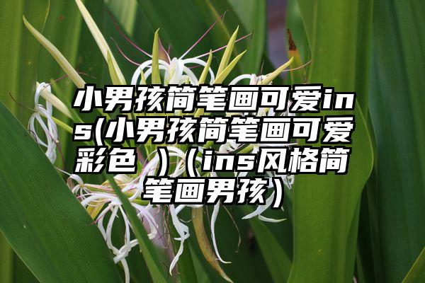 小男孩简笔画可爱ins(小男孩简笔画可爱彩色 )（ins风格简笔画男孩）