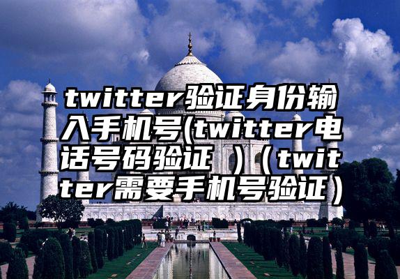 twitter验证身份输入手机号(twitter电话号码验证 )（twitter需要手机号验证）