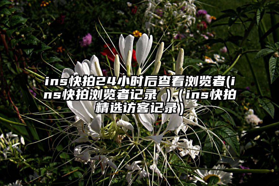 ins快拍24小时后查看浏览者(ins快拍浏览者记录 )（ins快拍精选访客记录）