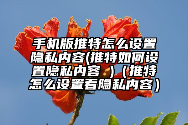 手机版推特怎么设置隐私内容(推特如何设置隐私内容 )（推特怎么设置看隐私内容）