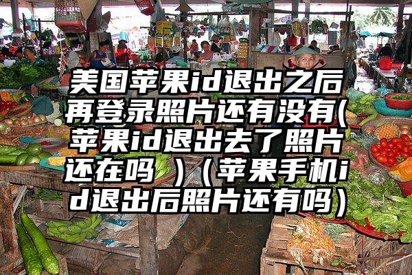 美国苹果id退出之后再登录照片还有没有(苹果id退出去了照片还在吗 )（苹果手机id退出后照片还有吗）