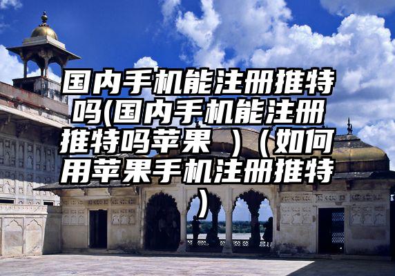 国内手机能注册推特吗(国内手机能注册推特吗苹果 )（如何用苹果手机注册推特）