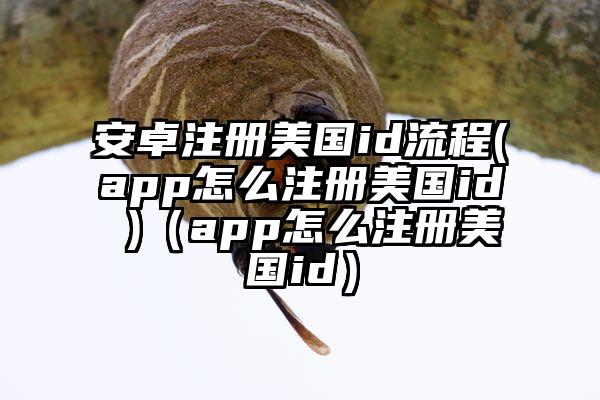 安卓注册美国id流程(app怎么注册美国id )（app怎么注册美国id）