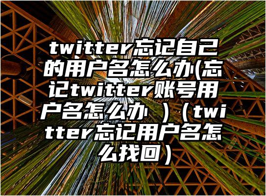 twitter忘记自己的用户名怎么办(忘记twitter账号用户名怎么办 )（twitter忘记用户名怎么找回）