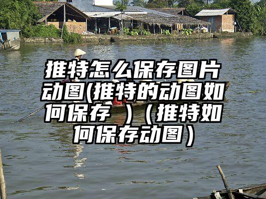 推特怎么保存图片动图(推特的动图如何保存 )（推特如何保存动图）