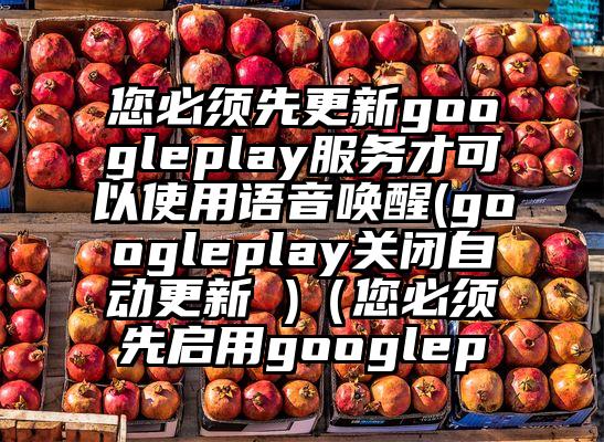您必须先更新googleplay服务才可以使用语音唤醒(googleplay关闭自动更新 )（您必须先启用googlep