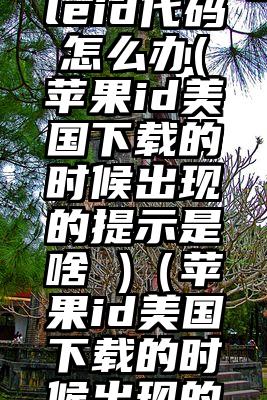 一直收到美国appleid代码怎么办(苹果id美国下载的时候出现的提示是啥 )（苹果id美国下载的时候出现的提示是啥）