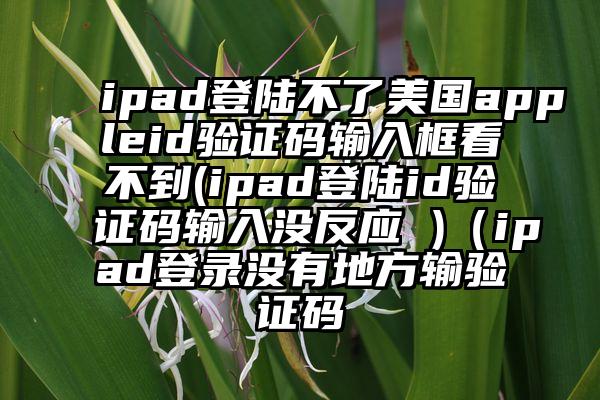 ipad登陆不了美国appleid验证码输入框看不到(ipad登陆id验证码输入没反应 )（ipad登录没有地方输验证码