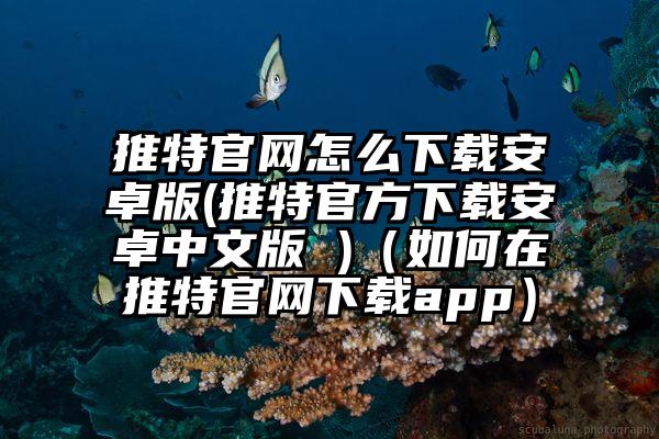 推特官网怎么下载安卓版(推特官方下载安卓中文版 )（如何在推特官网下载app）