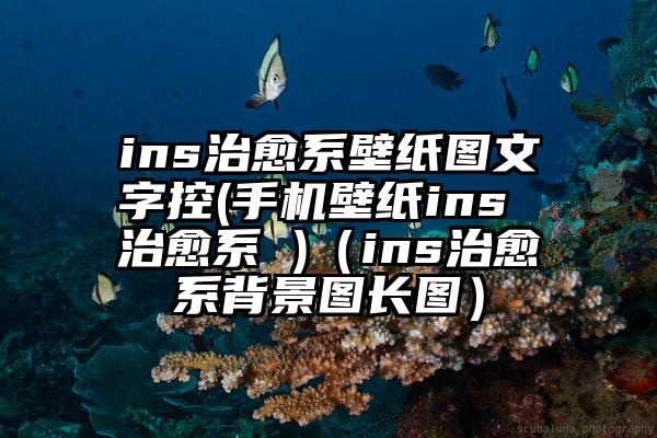 ins治愈系壁纸图文字控(手机壁纸ins 治愈系 )（ins治愈系背景图长图）