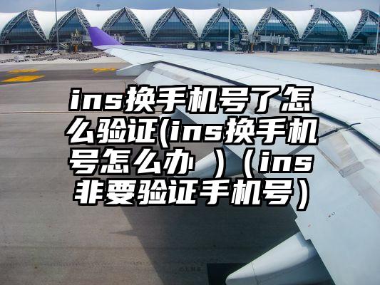 ins换手机号了怎么验证(ins换手机号怎么办 )（ins非要验证手机号）
