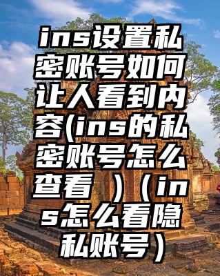 ins设置私密账号如何让人看到内容(ins的私密账号怎么查看 )（ins怎么看隐私账号）