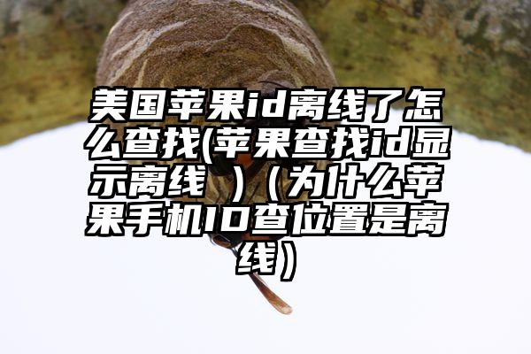 美国苹果id离线了怎么查找(苹果查找id显示离线 )（为什么苹果手机ID查位置是离线）