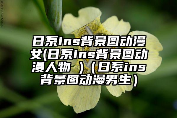 日系ins背景图动漫女(日系ins背景图动漫人物 )（日系ins背景图动漫男生）