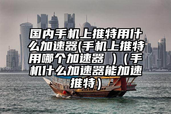 国内手机上推特用什么加速器(手机上推特用哪个加速器 )（手机什么加速器能加速推特）