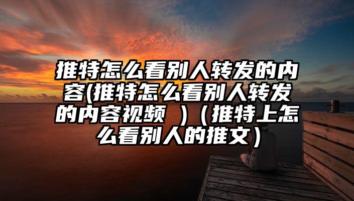 推特怎么看别人转发的内容(推特怎么看别人转发的内容视频 )（推特上怎么看别人的推文）