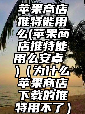 苹果商店推特能用么(苹果商店推特能用么安卓 )（为什么苹果商店下载的推特用不了）