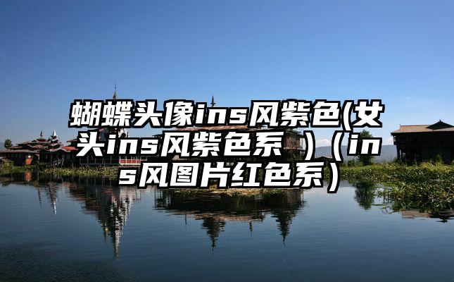 蝴蝶头像ins风紫色(女头ins风紫色系 )（ins风图片红色系）