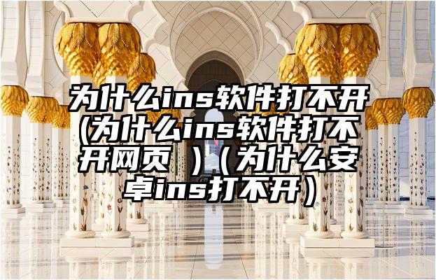 为什么ins软件打不开(为什么ins软件打不开网页 )（为什么安卓ins打不开）
