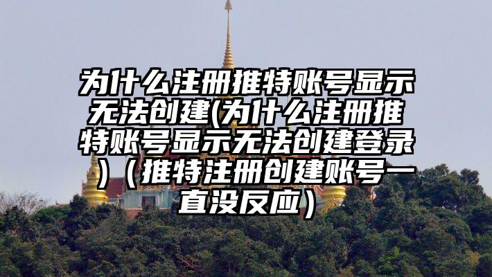 为什么注册推特账号显示无法创建(为什么注册推特账号显示无法创建登录 )（推特注册创建账号一直没反应）