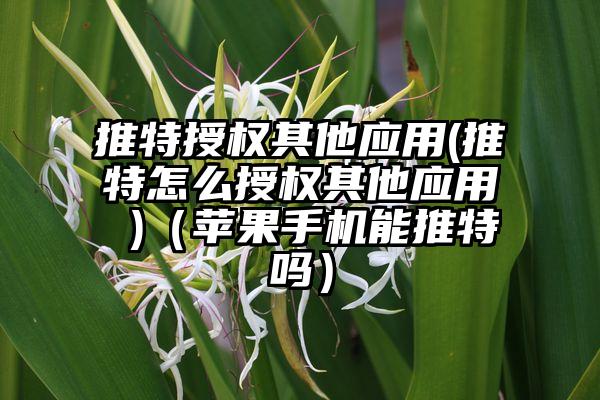推特授权其他应用(推特怎么授权其他应用 )（苹果手机能推特吗）