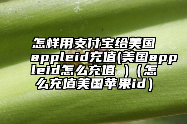 怎样用支付宝给美国appleid充值(美国appleid怎么充值 )（怎么充值美国苹果id）