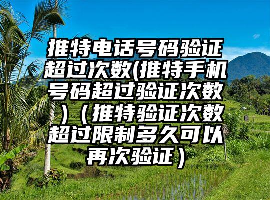 推特电话号码验证超过次数(推特手机号码超过验证次数 )（推特验证次数超过限制多久可以再次验证）