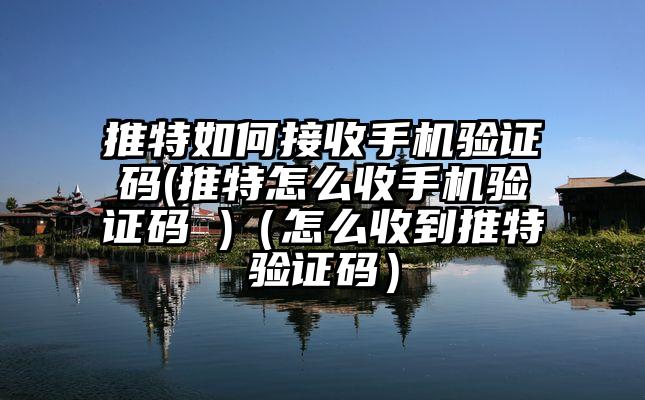 推特如何接收手机验证码(推特怎么收手机验证码 )（怎么收到推特验证码）