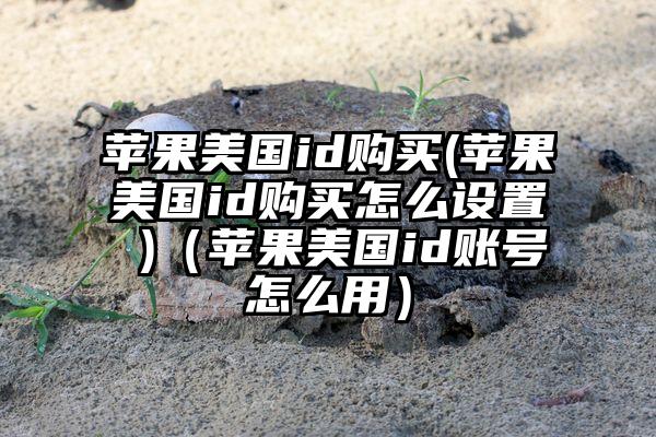 苹果美国id购买(苹果美国id购买怎么设置 )（苹果美国id账号怎么用）