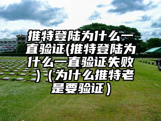 推特登陆为什么一直验证(推特登陆为什么一直验证失败 )（为什么推特老是要验证）