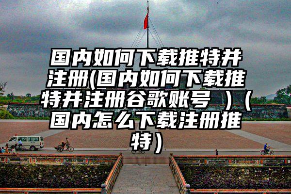 国内如何下载推特并注册(国内如何下载推特并注册谷歌账号 )（国内怎么下载注册推特）