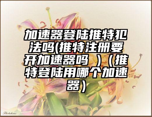 加速器登陆推特犯法吗(推特注册要开加速器吗 )（推特登陆用哪个加速器）