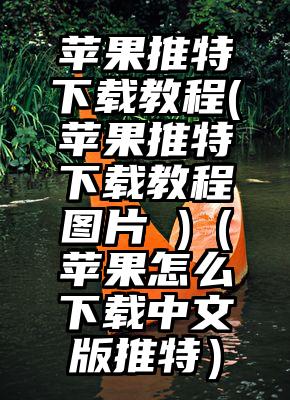 苹果推特下载教程(苹果推特下载教程图片 )（苹果怎么下载中文版推特）