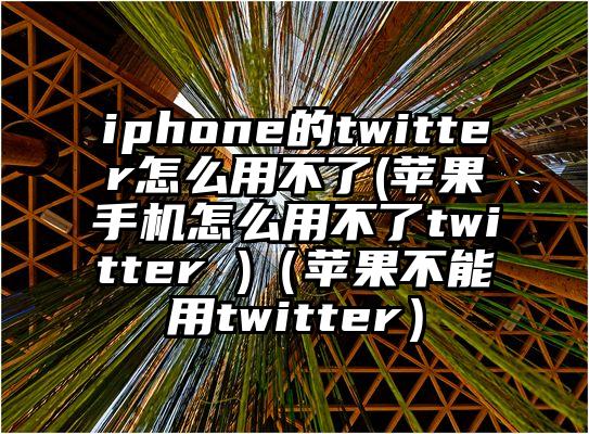 iphone的twitter怎么用不了(苹果手机怎么用不了twitter )（苹果不能用twitter）