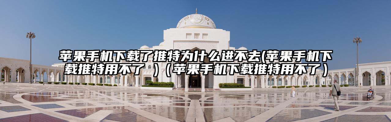 苹果手机下载了推特为什么进不去(苹果手机下载推特用不了 )（苹果手机下载推特用不了）