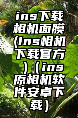 ins下载相机面膜(ins相机下载官方 )（ins原相机软件安卓下载）