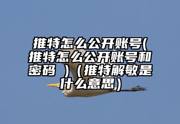 推特怎么公开账号(推特怎么公开账号和密码 )（推特解敏是什么意思）