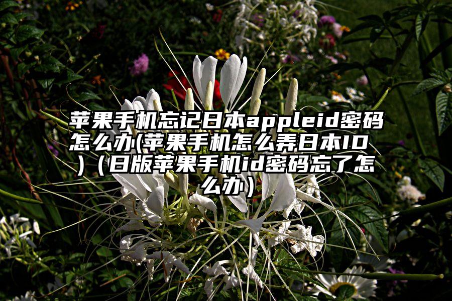 苹果手机忘记日本appleid密码怎么办(苹果手机怎么弄日本ID )（日版苹果手机id密码忘了怎么办）
