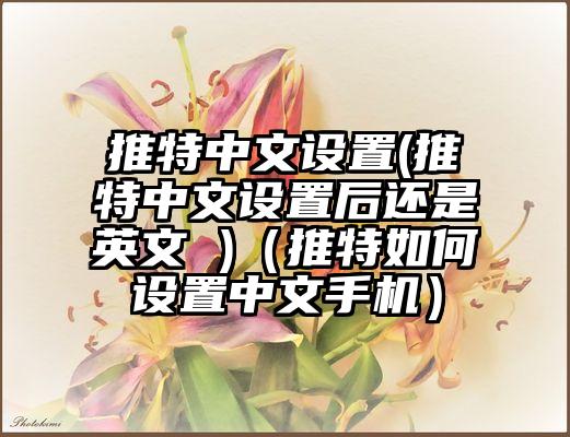 推特中文设置(推特中文设置后还是英文 )（推特如何设置中文手机）