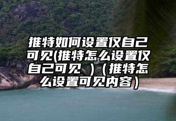 推特如何设置仅自己可见(推特怎么设置仅自己可见 )（推特怎么设置可见内容）
