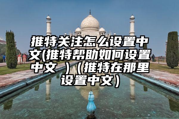 推特关注怎么设置中文(推特帮助如何设置中文 )（推特在那里设置中文）