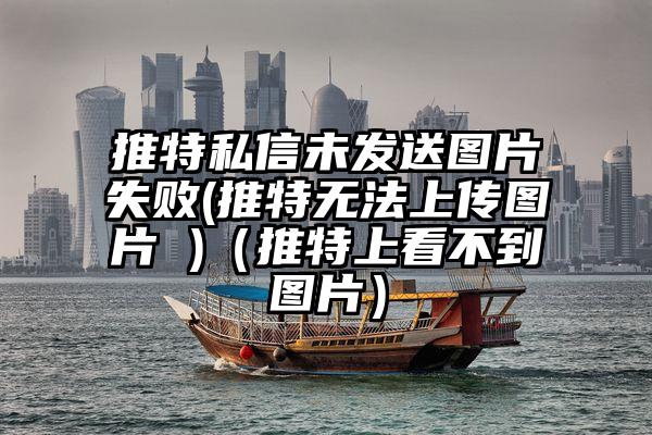 推特私信未发送图片失败(推特无法上传图片 )（推特上看不到图片）