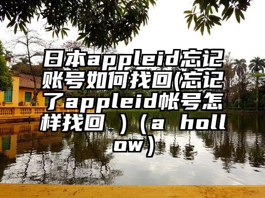 日本appleid忘记账号如何找回(忘记了appleid帐号怎样找回 )（a hollow）