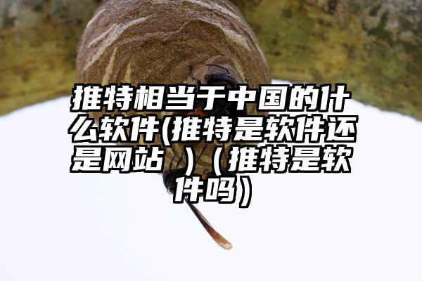推特相当于中国的什么软件(推特是软件还是网站 )（推特是软件吗）