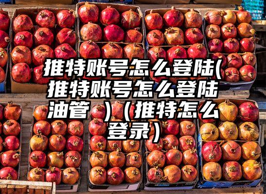 推特账号怎么登陆(推特账号怎么登陆油管 )（推特怎么登录）