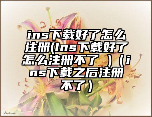 ins下载好了怎么注册(ins下载好了怎么注册不了 )（ins下载之后注册不了）