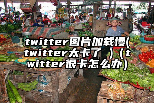twitter图片加载慢(twitter太卡了 )（twitter很卡怎么办）