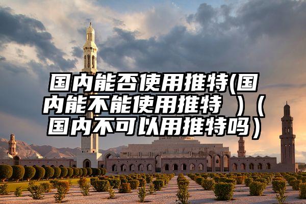 国内能否使用推特(国内能不能使用推特 )（国内不可以用推特吗）